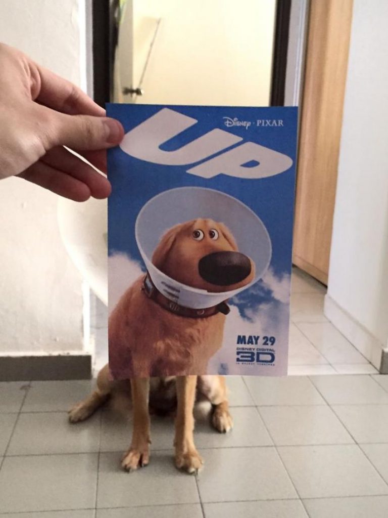 up_780x1039-mvgtkyt48x