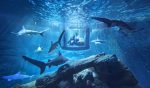 02_InsideAquarium_NoFred (Copy)