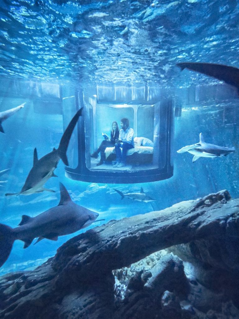 02_InsideAquarium_NoFred (Copy)