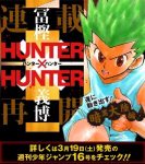 hunter-x-hunter