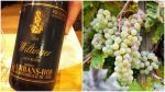 唔嫌大熱，人飲你又飲，Riesling通常都有酸爽的水果香氣，夏天飲也不膩（但千萬不用把它當成一種夏天白酒。）夏天選酒最簡單就從葡萄入手，選些清爽型，口味清淡，走簡單風格的白酒，配以預先「雪」好已足夠make your day！（注重8度到10度已是最佳溫度，太凍不是最好香味及酒味會打拆扣）。Riesling通遍酸度高，單寧柔順，就這兩點而合符悶熱天氣選酒的兩大要項！