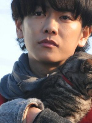 cat1