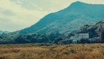 IMG_8984x1 拷貝