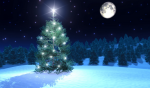 聖誕樹頂上的星星叫「伯利恆之星」（The Star of Bethlehem）。聖誕記載在耶穌降生在馬槽裡的晚上，追隨天上一顆明亮的星星找到了耶穌，這顆星就是著名的「伯利恆之星」（The Star of Bethlehem）。於是人們把將這顆伯利恆之星放在聖誕樹頂端用以紀念耶穌降生。