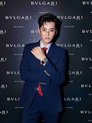 藝人忙碌就一定的（唔忙食榖種啦！），但做得代言，怎忙也好，品牌一年間搞的活動，也得抽時間去，通常合約也會寫明合約期間需要出席多少個公開活動，好似唐僧吳亦凡，忙到甩碌都專登由北京飛去Basel兩日，出席Bulgari新錶發佈會，咁短時間都找來記者chit chat，真乖！