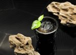 Oscar在設計「Earth」時回想起小時候下雨過後的森林氣息。為了重塑那美好的回憶，他以香菇泡浸冧酒，另加入無酒精蒸餾酒Seedlip Garden以及陣陣班蘭葉香氣，並將這田園氣息滿載的作品以黑色的陶瓷杯呈獻在客人眼前，別出心裁之餘讓人回味無窮。