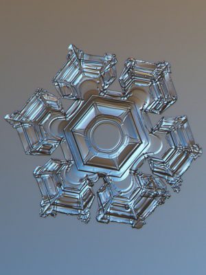 1530692_509341429220881_1423308233_n