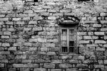 L (q series) 17 (Copy)