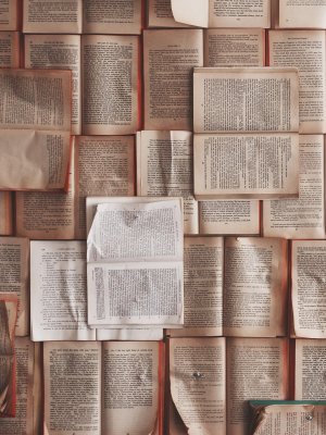 005 novel-read-wood-texture-floor-wall-566197-pxhere