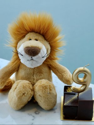 Lion Pierre Plush Toy 小獅Pierre玩偶