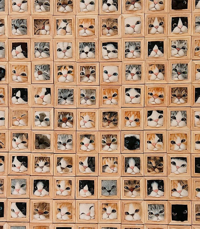 Artist-creates-realistic-3D-frames-of-cats-and-they-are-perfect-5efd9ae7c67bf__880