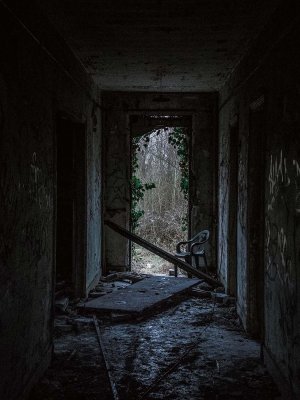 xtremis-2iaJp2qlzH4-unsplash
