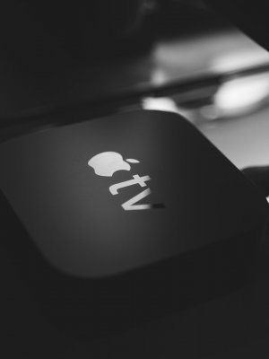 li-lin-P5xn4DBeA3A-unsplash
