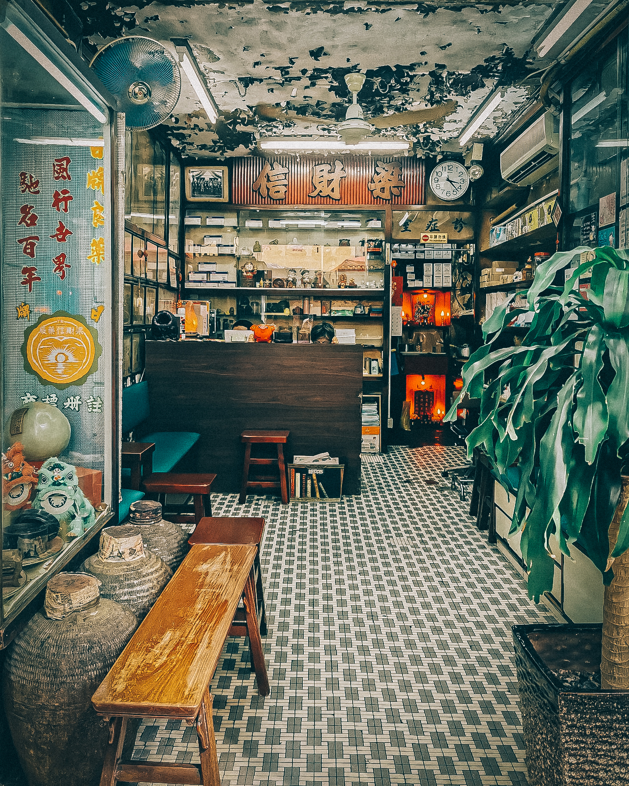 紀錄廢墟中的生機｜「香港遺美」版主林曉敏：「當你對萬事萬物都抱有感恩的心，拍出來的感覺也會有所不同。」