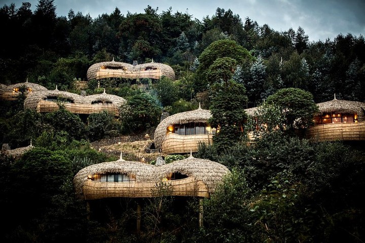 原始新世界｜瑞典、盧旺達等樹屋酒店，帶你奢華地感受大自然