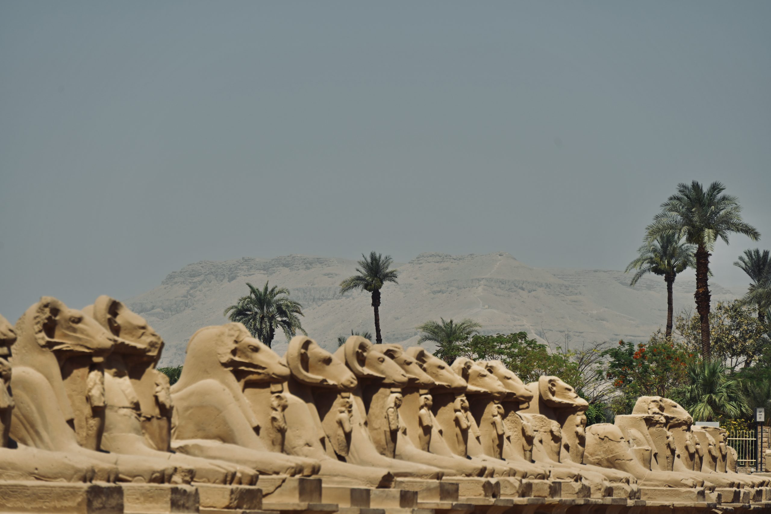 徜徉尼羅河｜暢遊四大文明古國之一埃及，玩轉開羅、亞歷山大、阿斯旺、樂蜀及赫加達五個城市