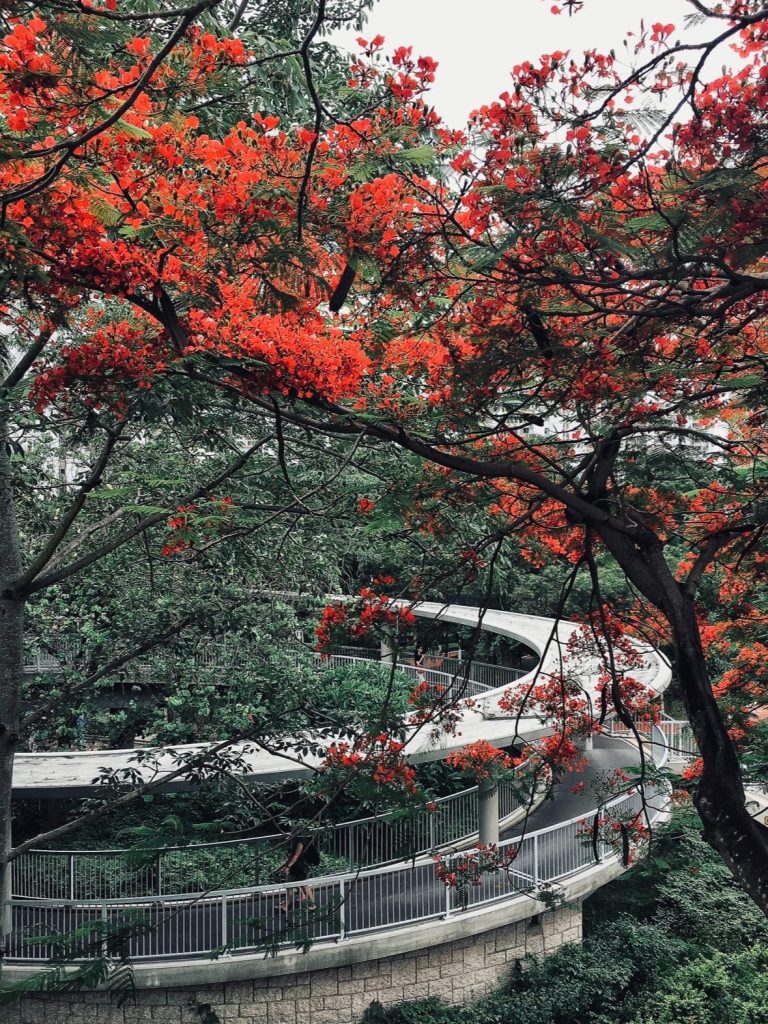 無常的背面，是希望