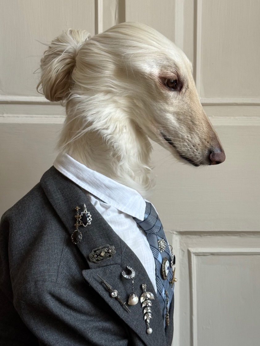 當阿富汗獵犬成為時尚 Icon | 狗狗穿搭重寫時尚故事