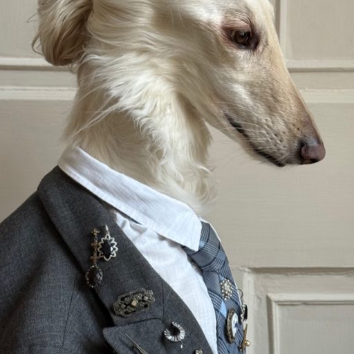 當阿富汗獵犬成為時尚 Icon | 狗狗穿搭重寫時尚故事