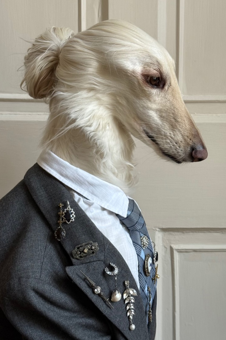 當阿富汗獵犬成為時尚 Icon | 狗狗穿搭重寫時尚故事