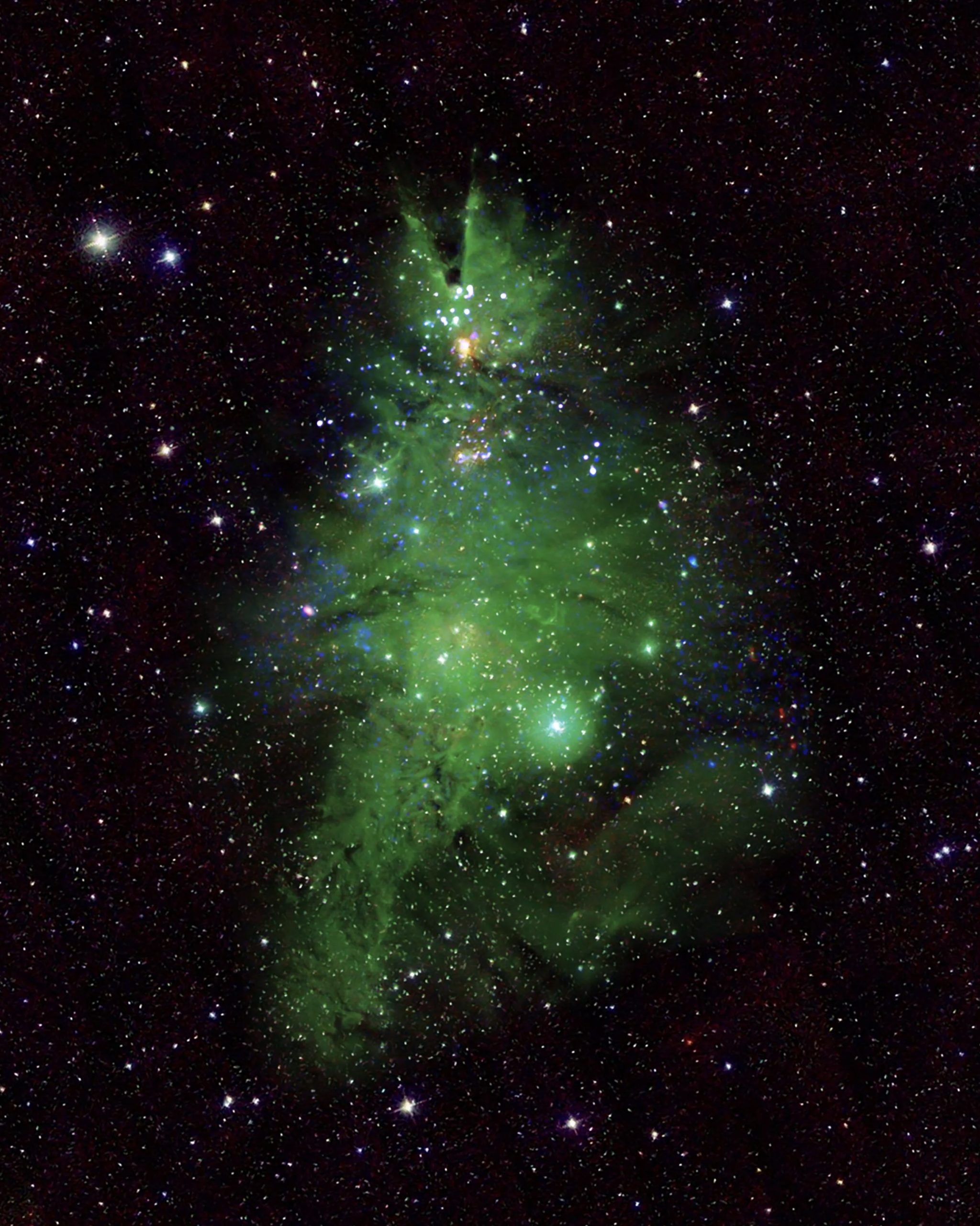 「太空聖誕樹」其實是距離距離2,500年的NGC 2264 星團。PHOTO / NASA