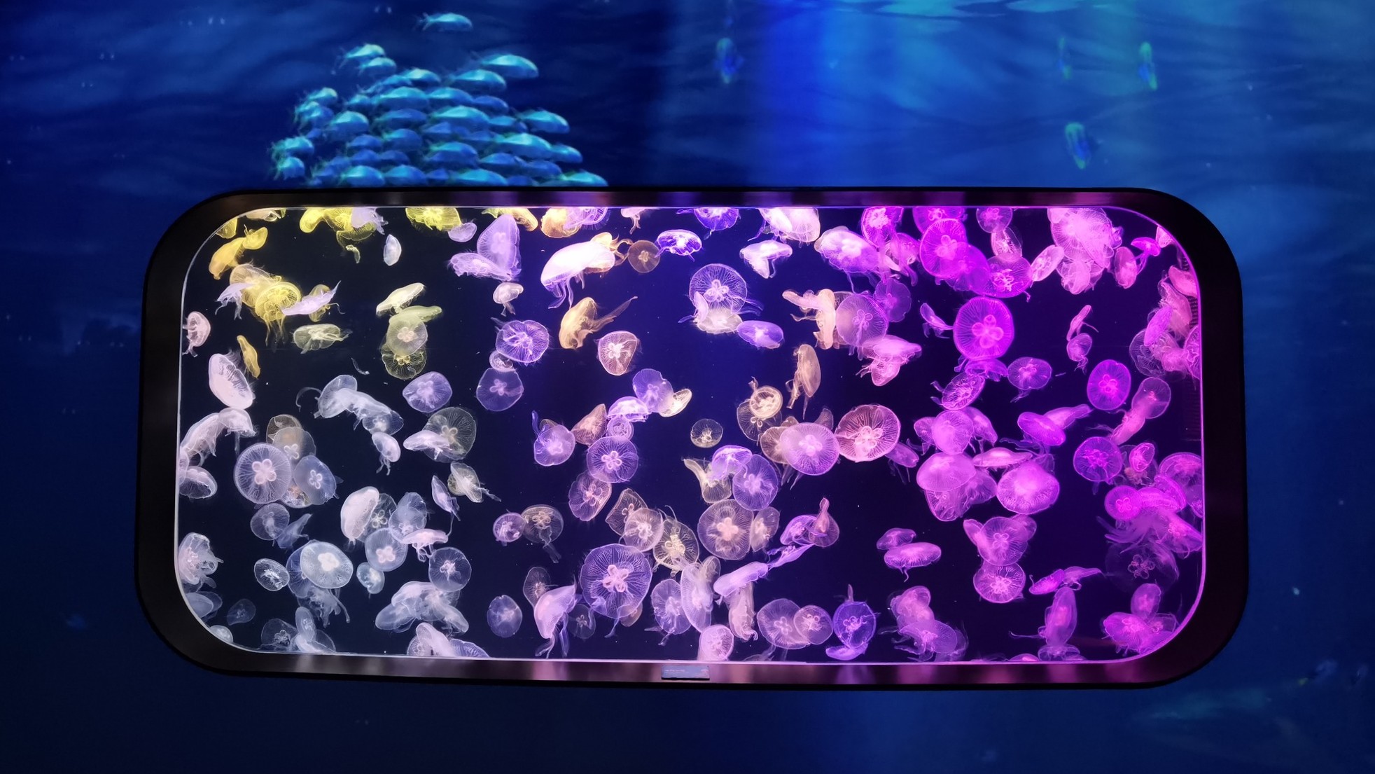 PHOTO / FB@cubeodiscoverypark