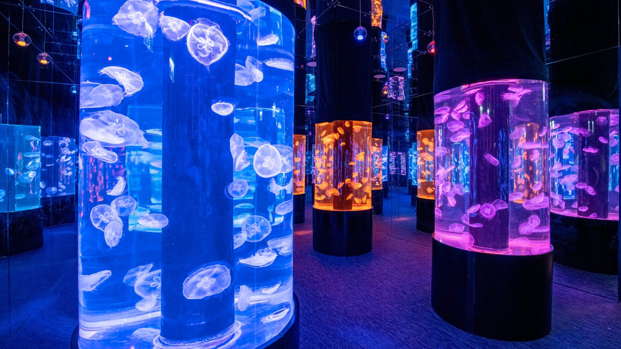 PHOTO / FB@cubeodiscoverypark