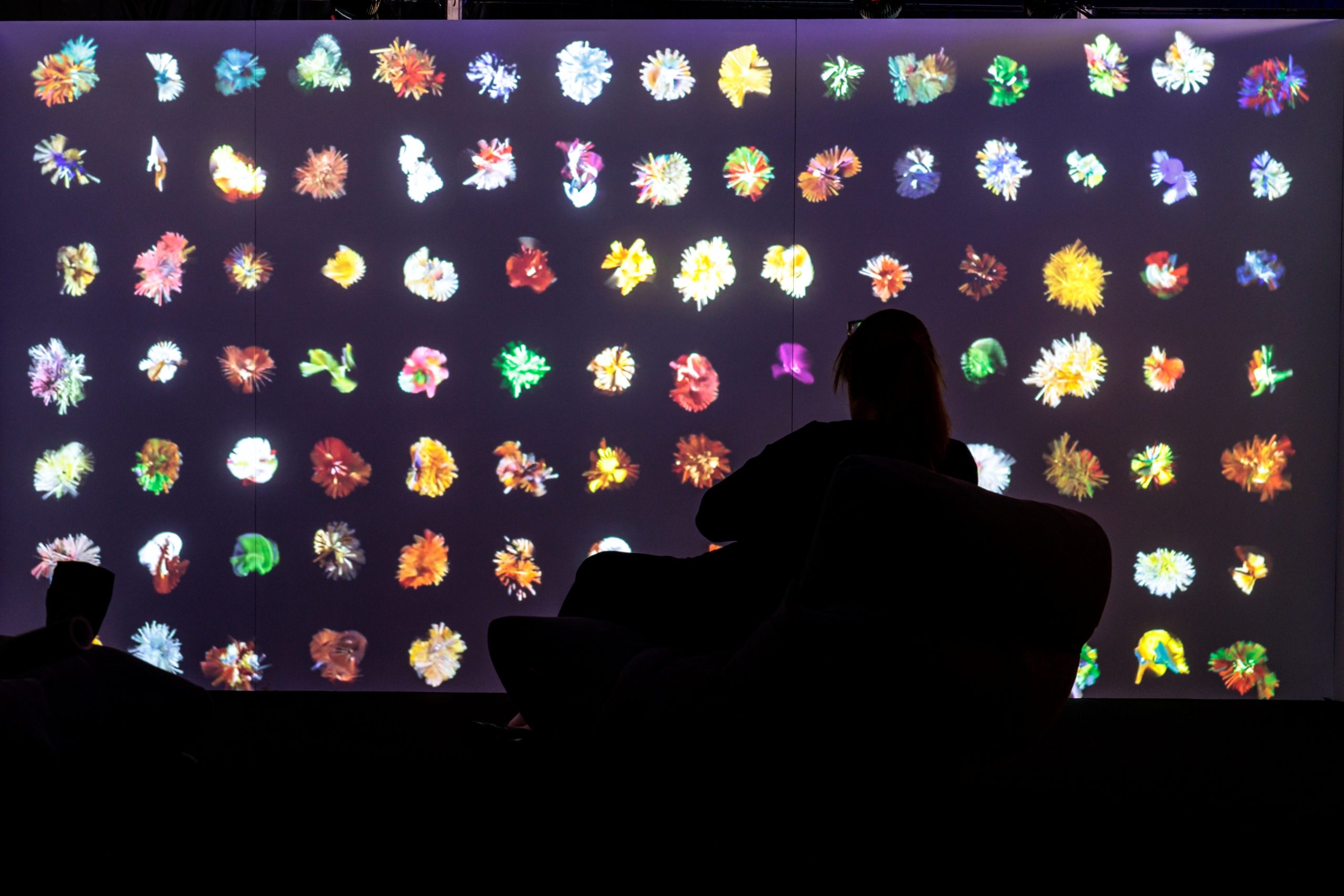 PHOTO / Central Yards Edible Art Fair