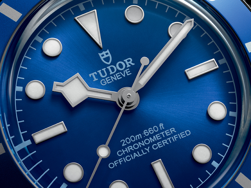 Tudor black bay 54 Dial