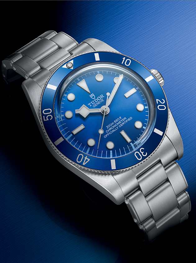 TUDOR Black Bay 54 close up