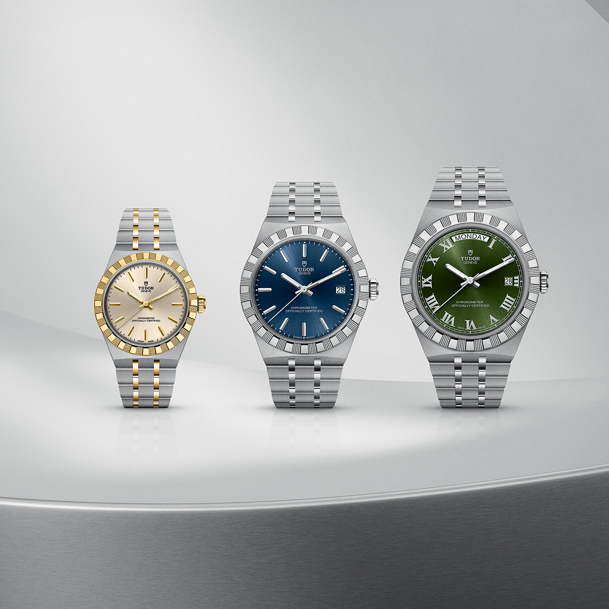 TUDOR Royal in 30mm, 36mm, and 40mm