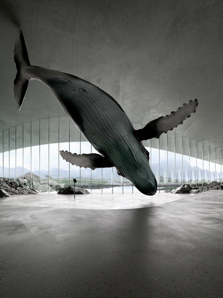 即使沉落深海亦滋養生命啟迪人類 | 挪威巨鯨博物館The Whale 2027年揭幕