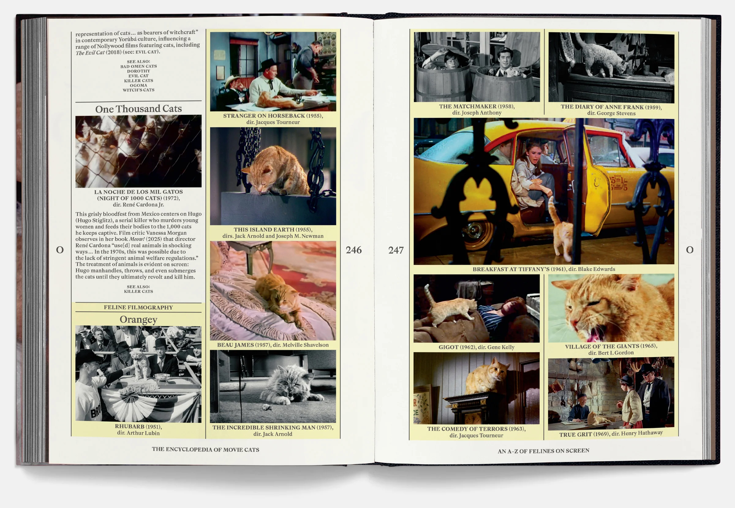 A24特別收錄關於Bad Omen Cats、Cat Lady Cats及Talking Cats等主題文章，見證貓咪在電影承載著的文化符號。PHOTO / A24